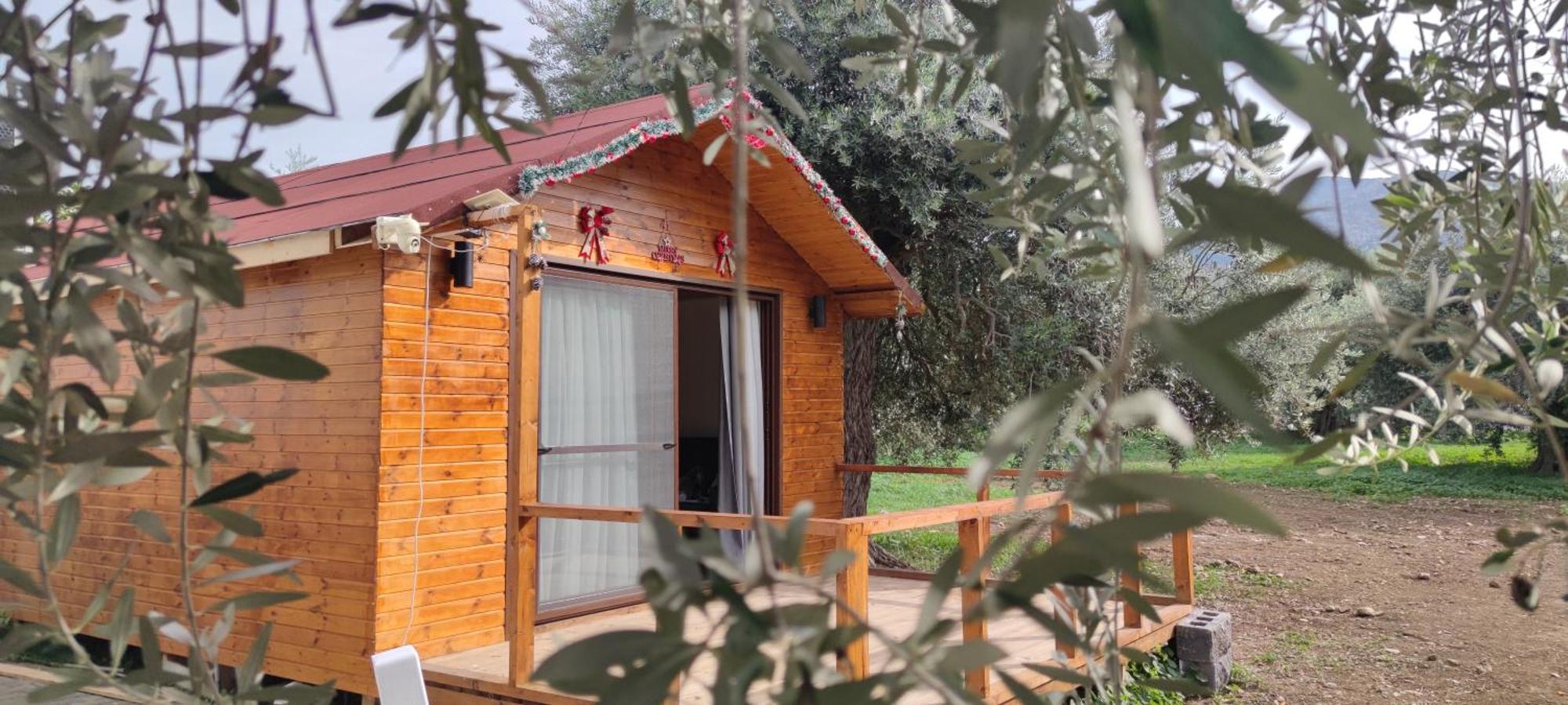 Suluca Homes Kerýnia Eksteriør bilde