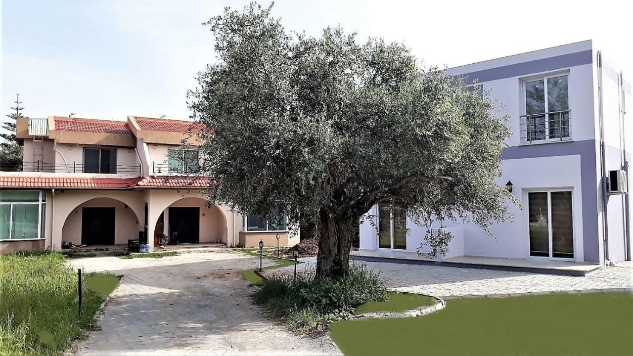 Suluca Homes Kerýnia Eksteriør bilde